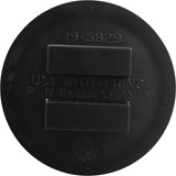 Plug-2" W/ O-Ring : 195830 - Pentair - 788379673994 - PartsForSpas.com