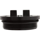 Plug-2" W/ O-Ring : 195830 - Pentair - 788379673994 - PartsForSpas.com