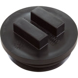 Plug-2" W/ O-Ring : 195830 - Pentair - 788379673994 - PartsForSpas.com