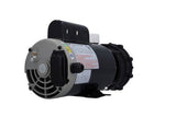 Pump, LX 56WUA, Large Frame, 4.0HP, 230V, 12.0A, 1-Speed, 2"MBT, SD : 56WUA400-I