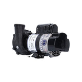 Pump, Waterway Executive 48, 1.0HP, 115V, 11.0/2.9A, 2-Speed, 2"MBT, SD, 48-Frame : 3420410-1A