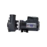 Pump, Waterway Executive 48, 1.5HP, 115V, 16.4/4.4A, 2-Speed, 2-1/2" x 2"MBT, SD, 48-Frame : 3420610-13