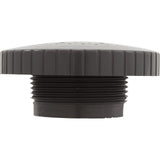 Rain Spa Jet Internal 1-1/2" Dark Gray : 23315-307-000