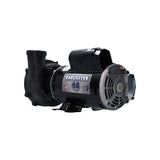 Pump, Waterway Executive 48, 3.0HP, 230V, 8.5/2.8A, 2-Speed, 2"MBT, SD, 48-Frame : 3421221-1A