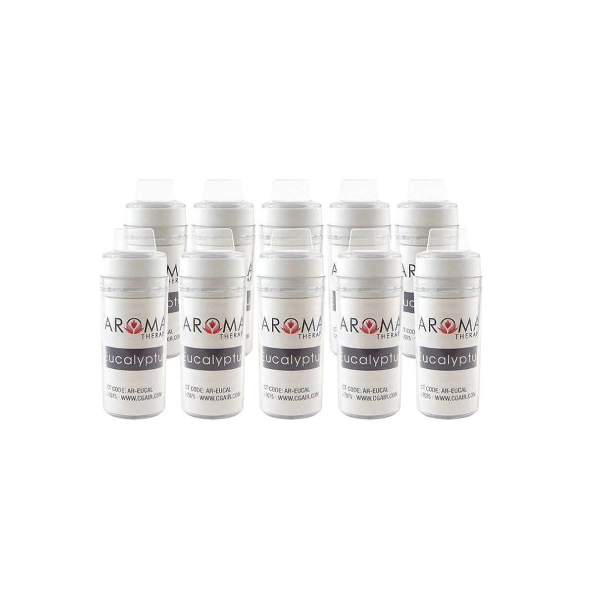 Aroma Therapy, Basket W/Beads Eucal, 10-Pack : AR-INJECT-EUCAL-BOX-V2