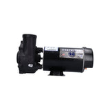Pump, Waterway Executive 48, 2.0HP, 230V, 10.5/2.6A, 2-Speed, 2"MBT, SD, 48-Frame : 3420820-1A