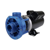 Pump, Aqua-Flo FMCP, 1.5HP, CD, 48-Frame, 2-Speed, 230V, 6.8/2.5A, 1-1/2"MBT, Unions : 02615005-1010