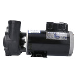 Pump, Waterway Executive 56, 5.0HP, 230V, 16.4/4.8A, 2-Speed, 2"MBT, SD, 56-Frame : 3722021-1D