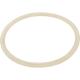 Skimmer Body Float Valve Gasket : 25140-000-040