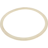 Skimmer Body Float Valve Gasket : 25140-000-040