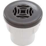 Spa Drain (2-5/16In Tex Face1In S) Gpgy : 25209-007-000