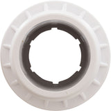 Fiberglass Pool Wallfitting (W/Nut, Gray) , No Gasket : 25523-501-000