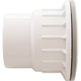 Fiberglass Pool Wallfitting (W/Nut, Gray) , No Gasket : 25523-501-000