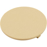 Logo Insert, Blank, Skimmer Lid Tan : 25544-029-010 - Custom Molded Products - 25544-029-010 - PartsForSpas.com