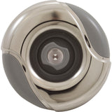 Spamaster 2" Insider Jetint (Dir, Stainless Steel, Gray) : 25591-111-000