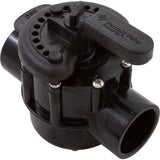 Diverter Valve, Pentair, 1-1/2"s/2"spg, 2-Way, CPVC : 263036 - Pentair - 788379644338 - PartsForSpas.com
