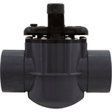 Diverter Valve, Pentair, 2-1/2" Spigot x 2" Slip, 2 Way : 263029 - PacFab/Pentair - 788379644314 - PartsForSpas.com