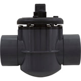 Diverter Valve, Pentair, 2-1/2" Spigot x 2" Slip, 2 Way : 263029 - PacFab/Pentair - 788379644314 - PartsForSpas.com