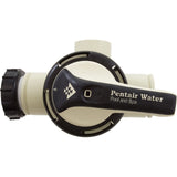 Backwash Valve, Pentair FullFloXF, w/2" Unions : 263080