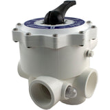 Multiport Valve, Praher SM-20-2, 2" FPT, D.E. : SM-20-2 - Praher Canada Ltd - SM-20-2 - PartsForSpas.com