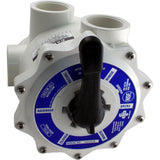 Multiport Valve, Praher SM-20-2, 2" FPT, D.E. : SM-20-2 - Praher Canada Ltd - SM-20-2 - PartsForSpas.com