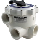 Multiport Valve, Praher SM-20-2, 2" FPT, D.E. : SM-20-2 - Praher Canada Ltd - SM-20-2 - PartsForSpas.com