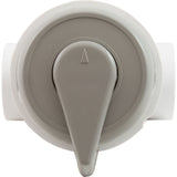 Diverter Valve, WW, 1", 2 Port, Top Mount, Vertical, Gry : 600-4347 - Waterway Plastics - 600-4347 - PartsForSpas.com