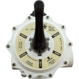 Multiport Valve, Waterway Side Mount, 2"fpt, w/Unions : WVD001 - Waterway Plastics - 806105207142 - PartsForSpas.com