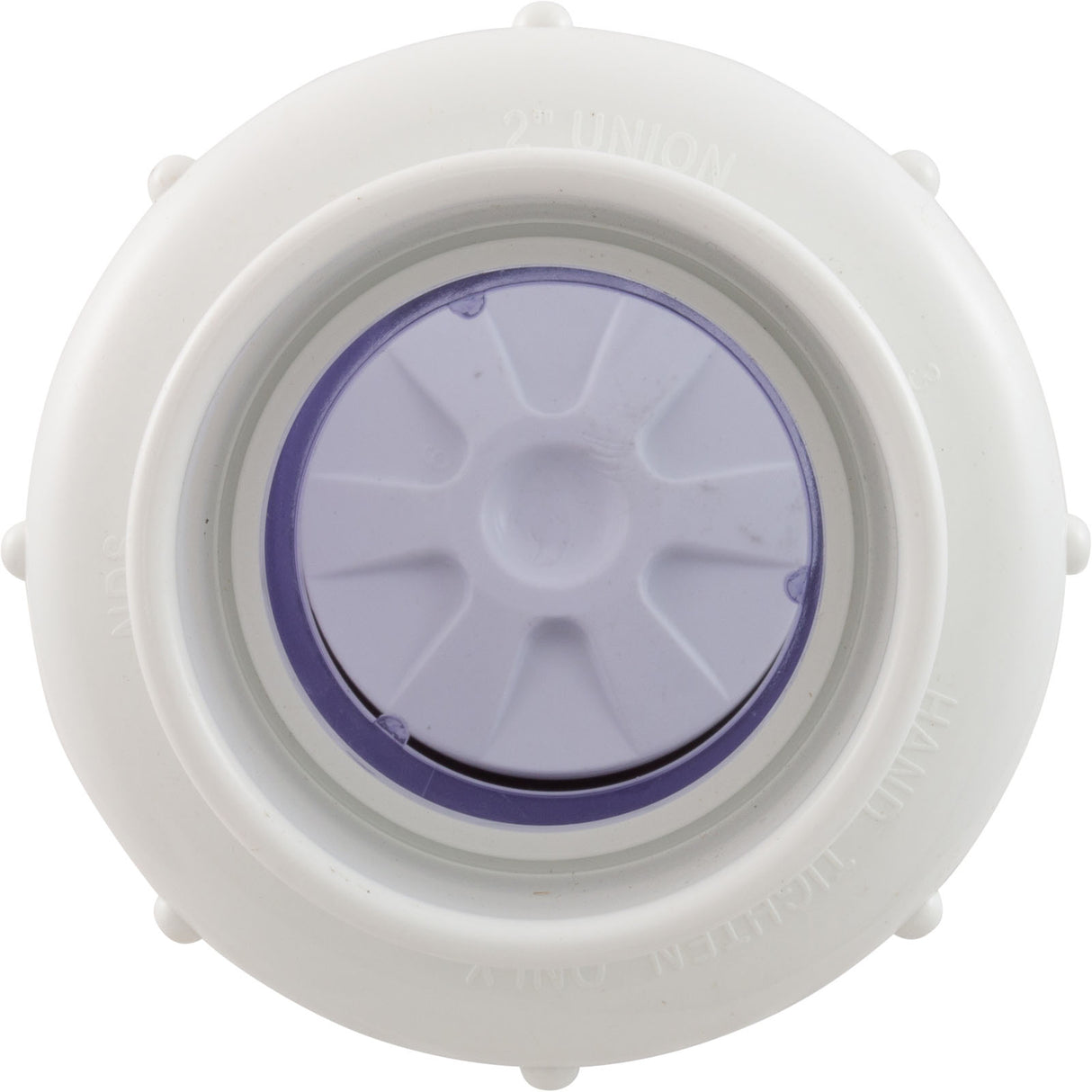 Check Valve, Flo Control, Swing, 2" Slip, True Union : 1720C20