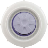 Check Valve, Flo Control, Swing, 2" Slip, True Union : 1720C20