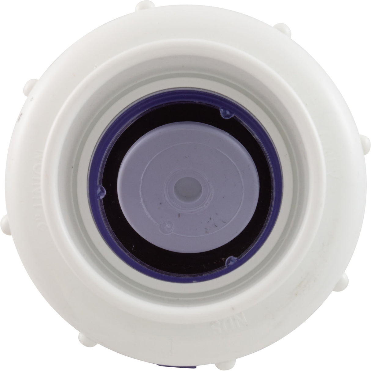 Check Valve, Flo Control, Swing, 2" Slip, True Union : 1720C20