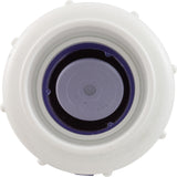 Check Valve, Flo Control, Swing, 2" Slip, True Union : 1720C20