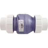Check Valve, Flo Control, Swing, 2" Slip, True Union : 1720C20