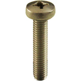 Bolt, Pentair 1-1/2" & Top/Side Mount Valve, M6-1x30, Pan : 152168Z - Pentair - 788379910914 - PartsForSpas.com