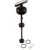 Piston Assembly, Pentair American Products ABS 2" Valve : 51013811 - American Products/Pentair - 51013811 - PartsForSpas.com