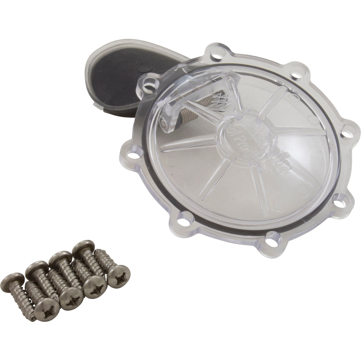 Rebuild Kit, Check Valve, Pentair CPVC 2" : 263042Z - Pentair - 788379786939 - PartsForSpas.com