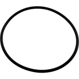 O-Ring, Waterway Serviceable Check Valve, Cover : 805-0239