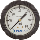 Influent Pressure Gauge, Paragon Stark, 0-60psi : 4615