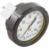 Influent Pressure Gauge, Paragon Stark, 0-60psi : 4615