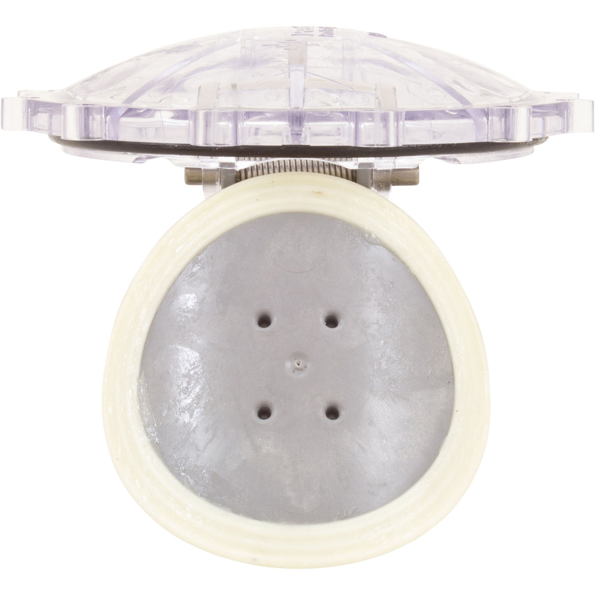 Flapper Chk Vlv Rplcmnt : 270119Z - Pentair - 788379852610 - PartsForSpas.com