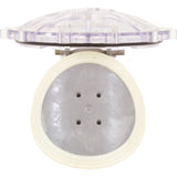 Flapper Chk Vlv Rplcmnt : 270119Z - Pentair - 788379852610 - PartsForSpas.com