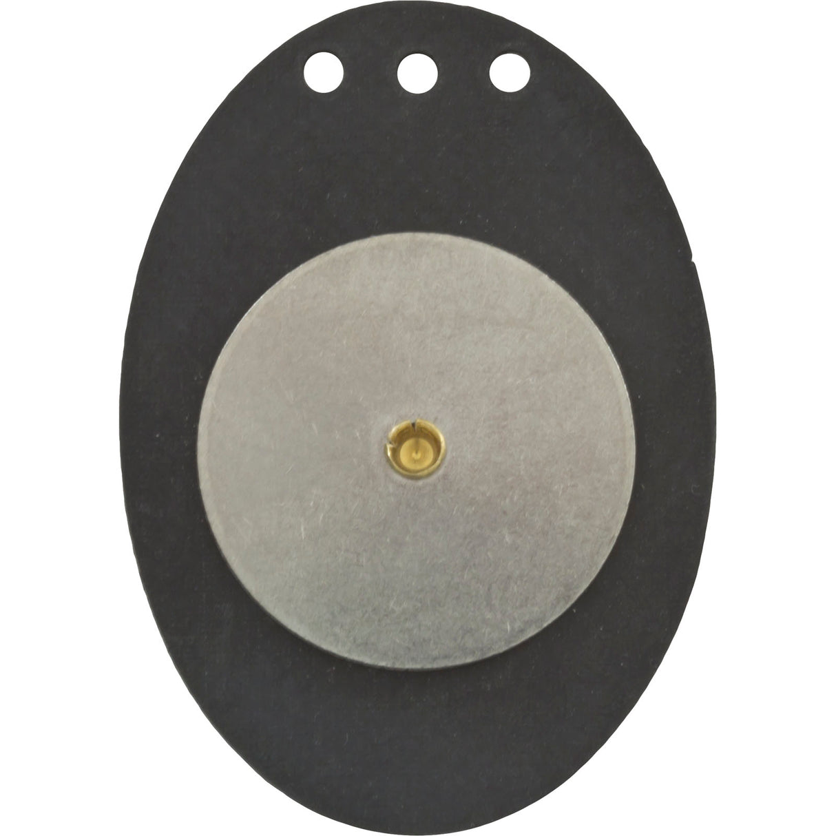 Diaphragm 2"Vlv Chk Wt : 272032 - Pentair - 272032 - PartsForSpas.com