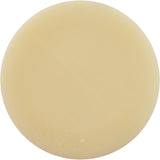 Lateral, Pentair PacFab TA100/TR100, 8 Required : 152202Z - Pentair - 788379885540 - PartsForSpas.com
