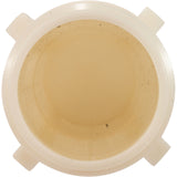 Lateral, Pentair PacFab TA100/TR100, 8 Required : 152202Z - Pentair - 788379885540 - PartsForSpas.com
