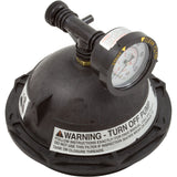 Tank Lid Kit, Pentair Triton II, 6" mbt, Black : 154641Z