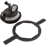 Tank Lid Kit, Pentair Triton II, 6" mbt, Black : 154641Z