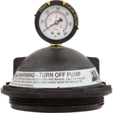 Tank Lid Kit, Pentair PacFab Triton II, 6" thd, Black : 154641 - PacFab/Pentair - 154641 - PartsForSpas.com