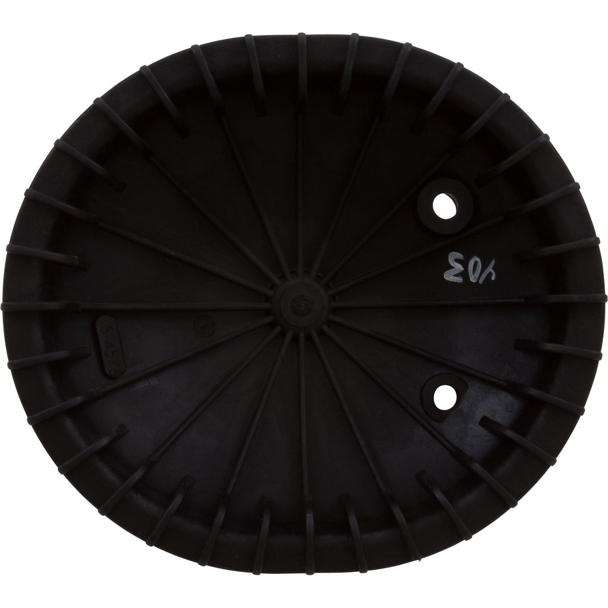 Closure, Pentair, Triton C-3, Oval, w/Bolt : 154576 - Pentair - 154576 - PartsForSpas.com