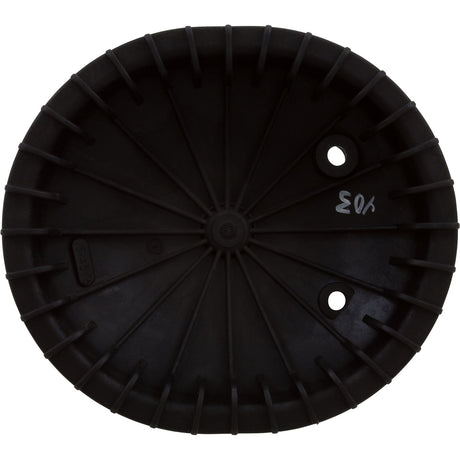 Closure, Pentair, Triton C-3, Oval, w/Bolt : 154576 - Pentair - 154576 - PartsForSpas.com