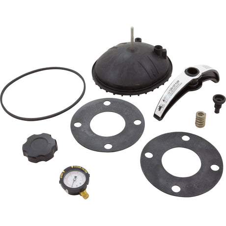 Closure Kit, Pentair, Triton C-3, Oval : 156841 - Pentair - 156841 - PartsForSpas.com